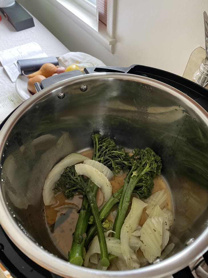Instant Pot Pro Plus Honest Review Kitchn