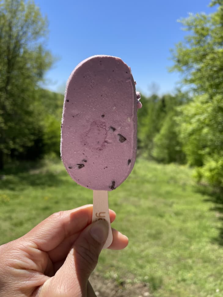 Best Yasso Frozen Greek Yogurt Bars Taste Test The Kitchn