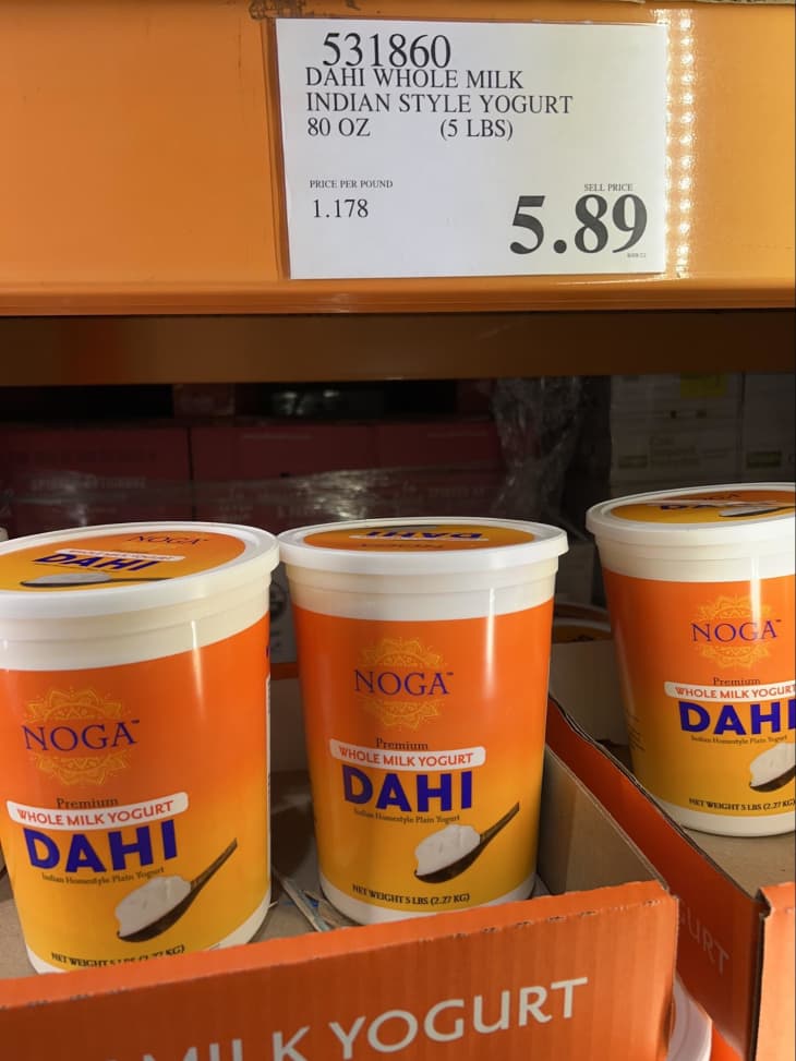 Noga Dahi Original Whole Milk Indian Style Yogurt LB Super, 42 OFF