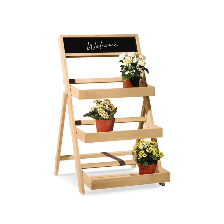 Aldi ladder shelf outlet