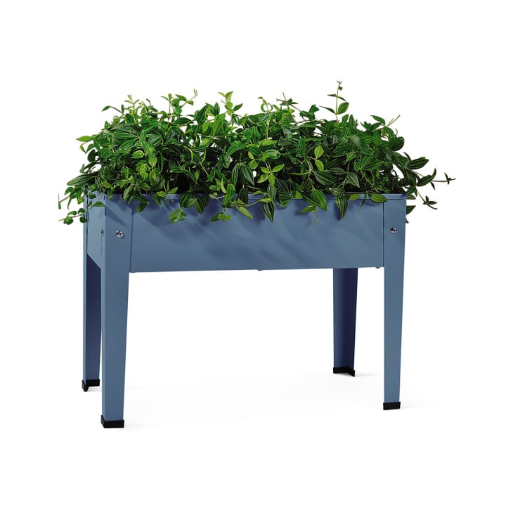 The New Aldi Home Decor Items Coming to Stores in May 2025 The Kitchn