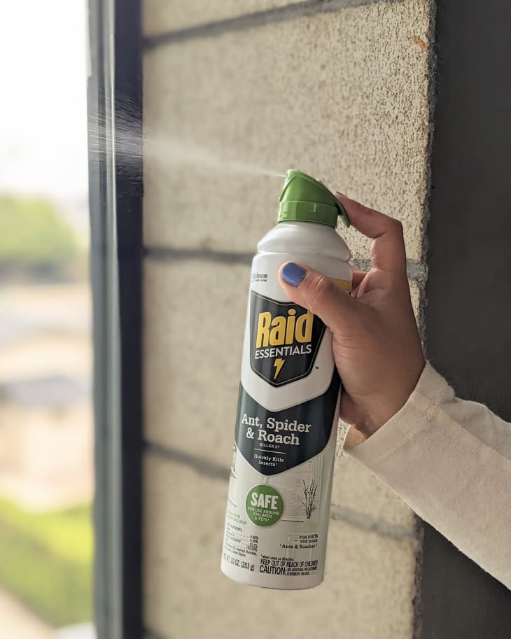 3 Bug Repellent Products That Work In My Kitchen Apartment Therapy   Gnat Spray