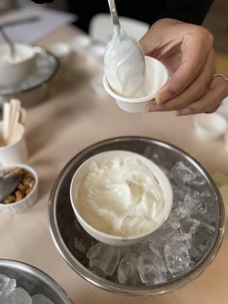 Best Greek Yogurts of 2024 (Tested & Reviewed) The Kitchn