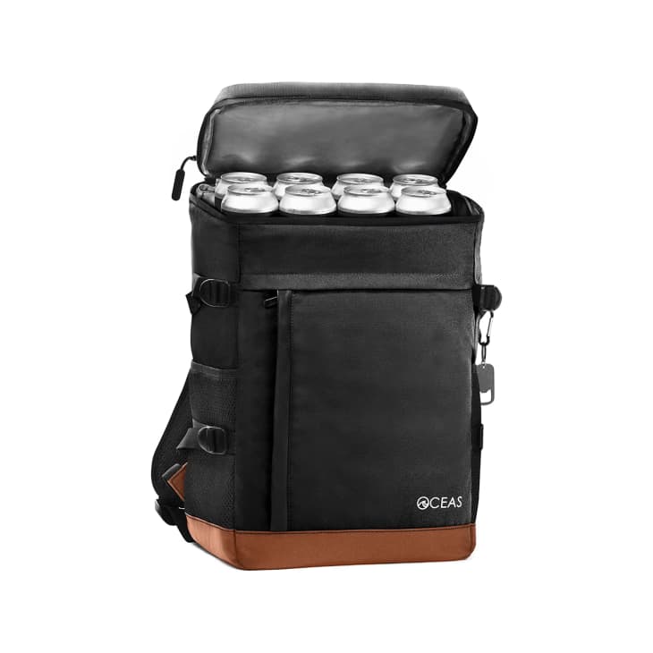 Oceas Cooler Backpack Review 2023 The Kitchn
