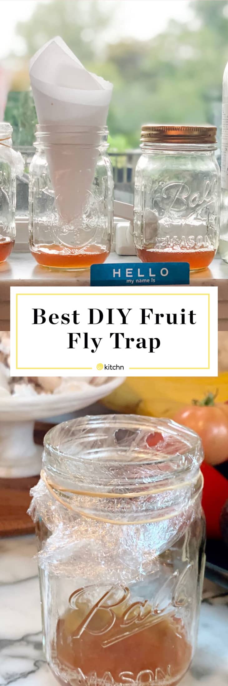 The Best DIY Fruit Fly Trap for Getting Rid of Fruit Flies Kitchn