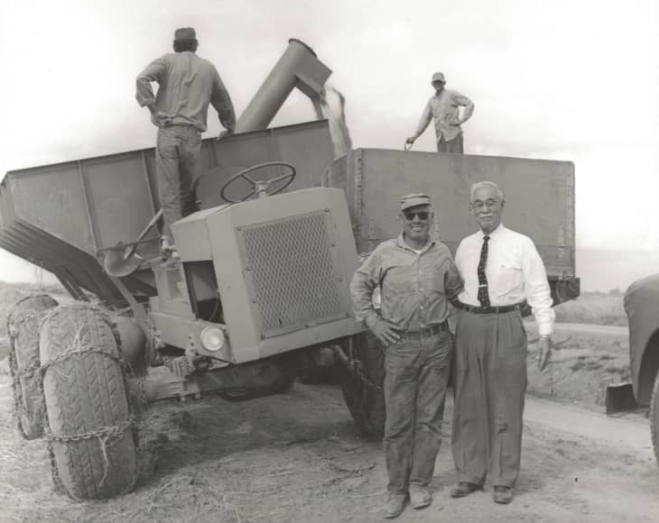 The Rice King Kitchn