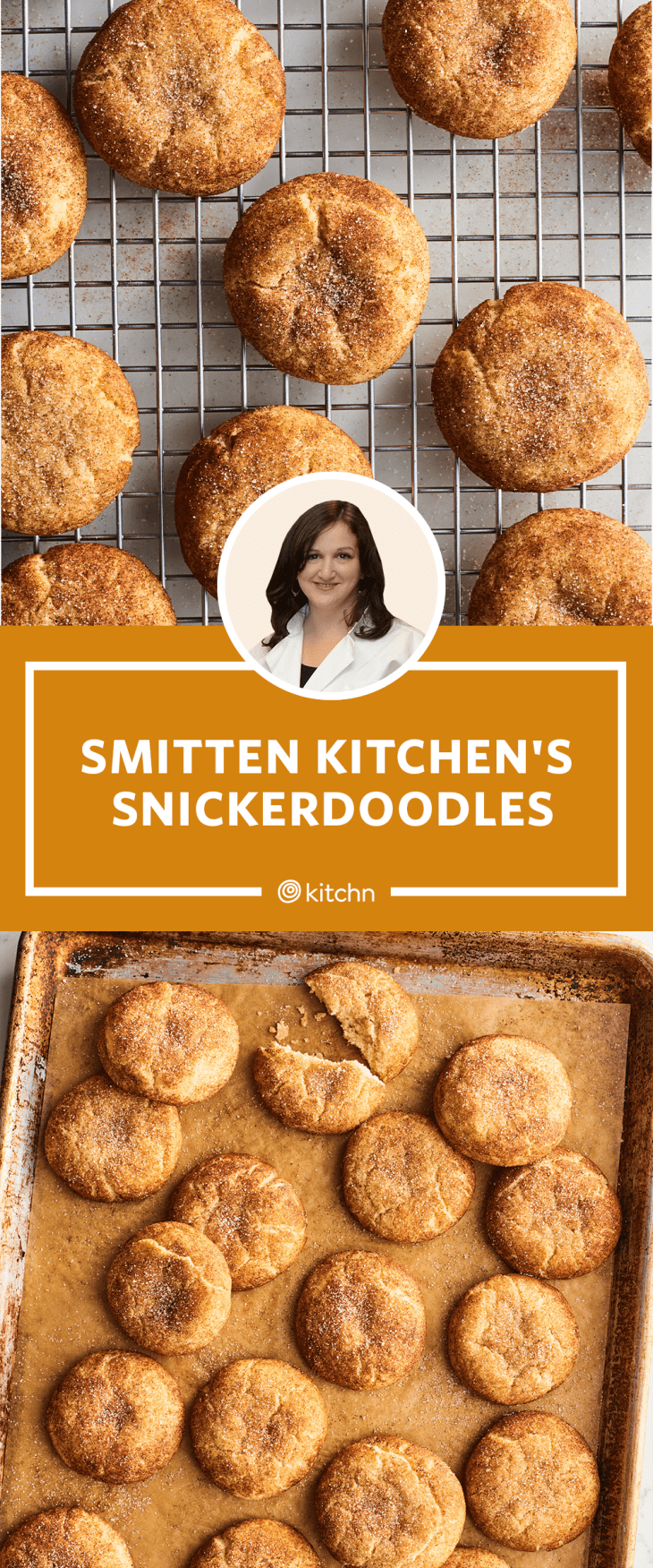 I Tried Smitten Kitchen's Snickerdoodle Recipe The Kitchn