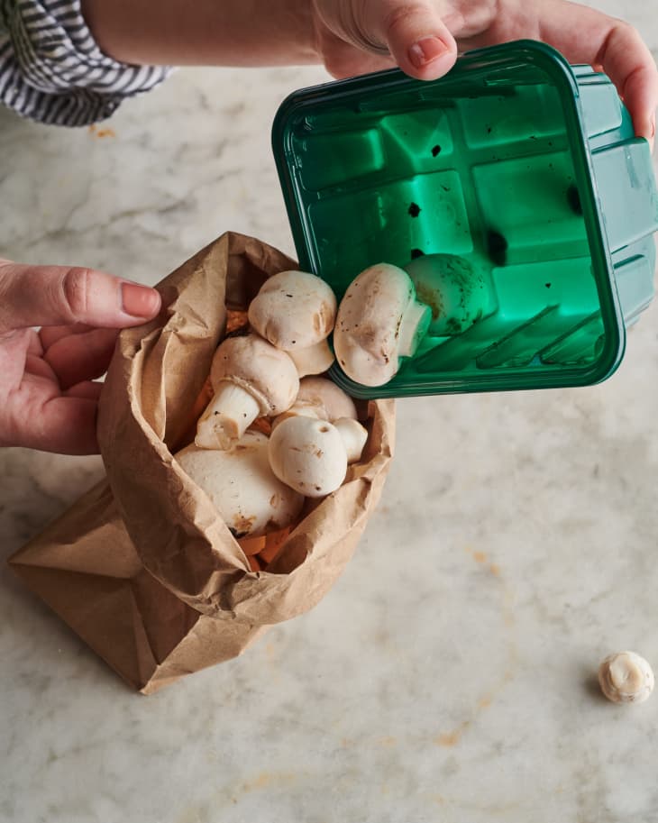 How to Store Mushrooms We Tested 6 Methods to Find the Best Way The