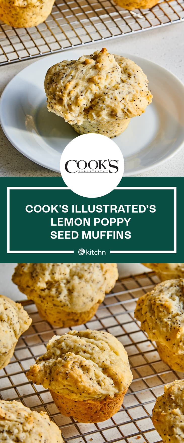 Cook's Illustrated Lemon Poppy Seed Muffin Recipe The Kitchn