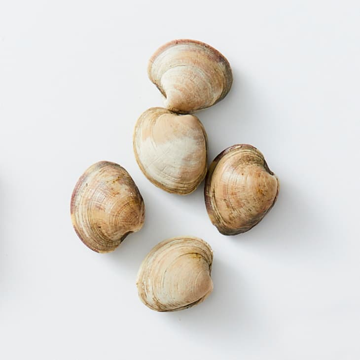 The 9 Most Popular Types of Shellfish The Kitchn