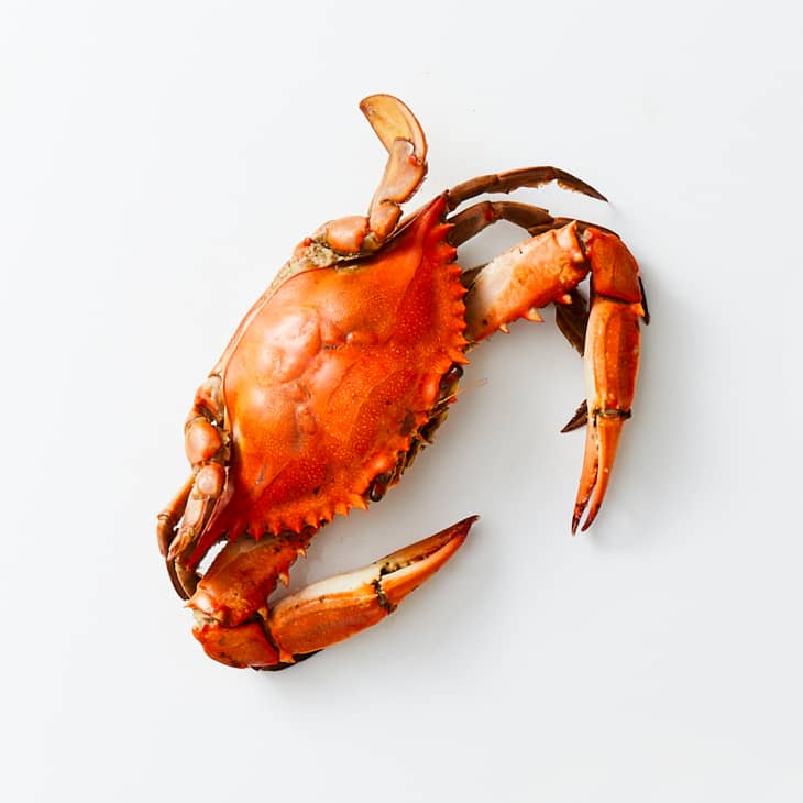 The 9 Most Popular Types of Shellfish The Kitchn