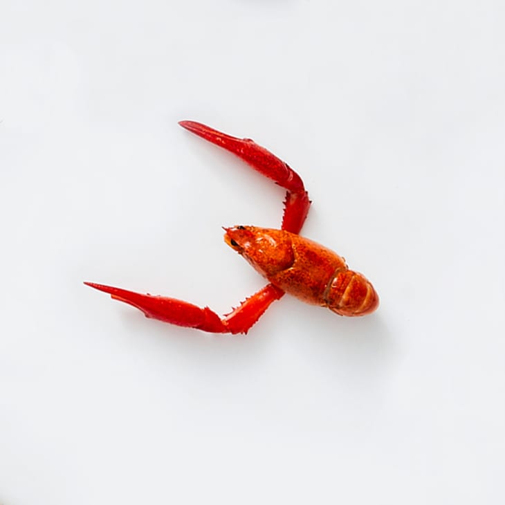 The 9 Most Popular Types of Shellfish The Kitchn