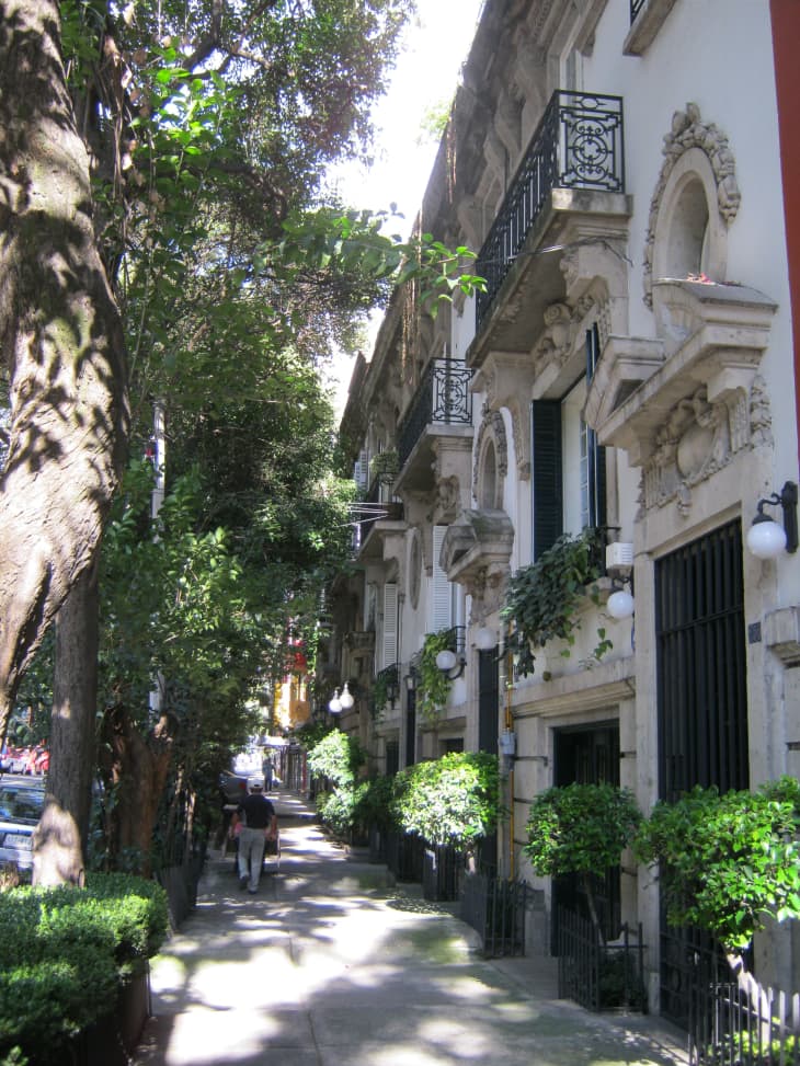 10 Things to Know Before You Go to Mexico City | The Kitchn