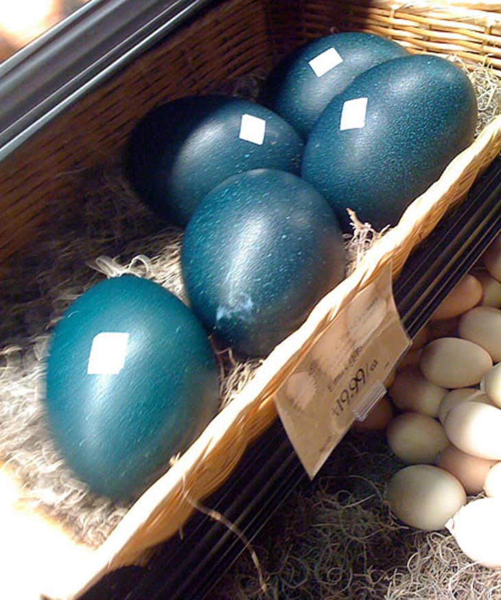 Look! Local Ostrich and Emu Eggs at Whole Foods The Kitchn