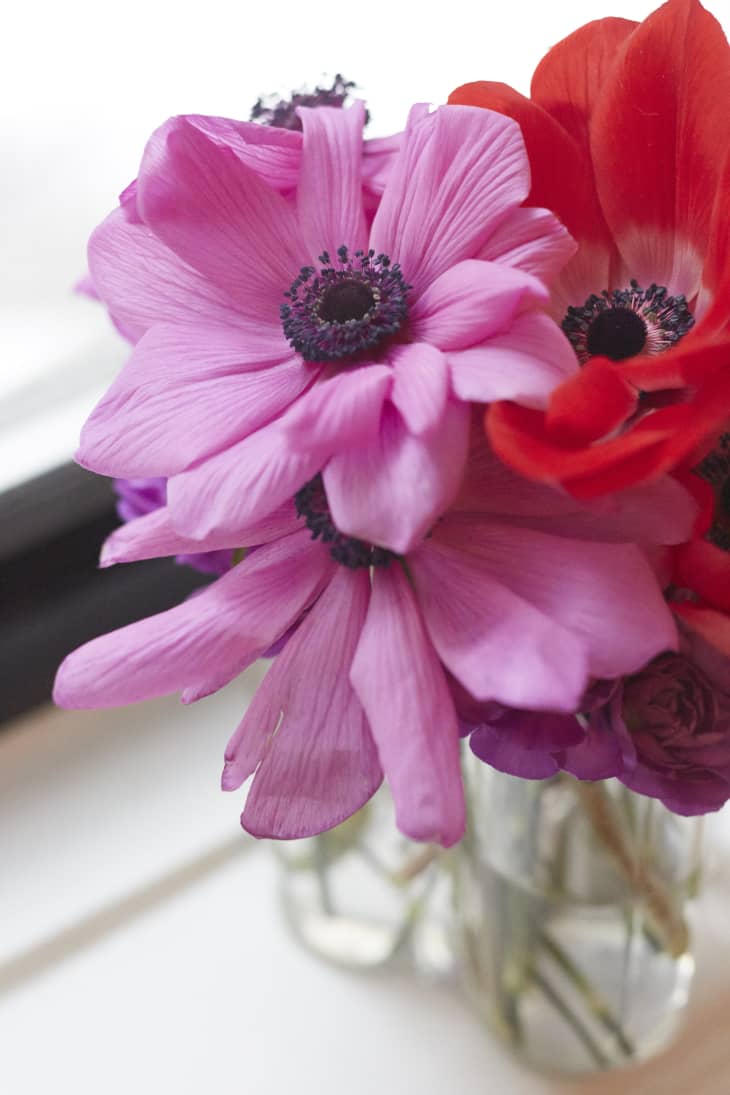 7 Flowers That Are Better than Roses | The Kitchn
