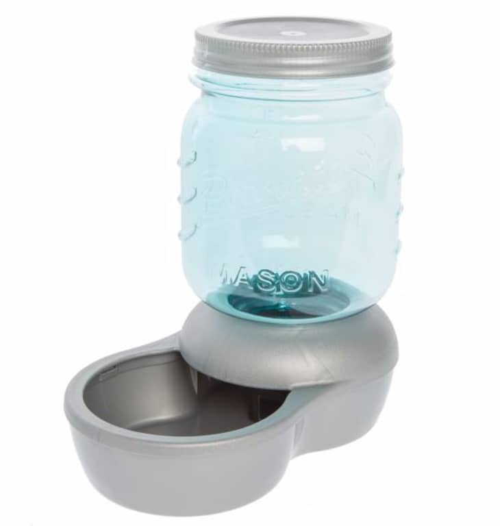 Mason jar on sale water dispenser dog