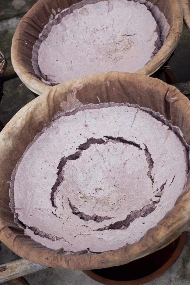 How Fish Sauce Is Made A Visit With a Fish Sauce Maker in Sa Chau