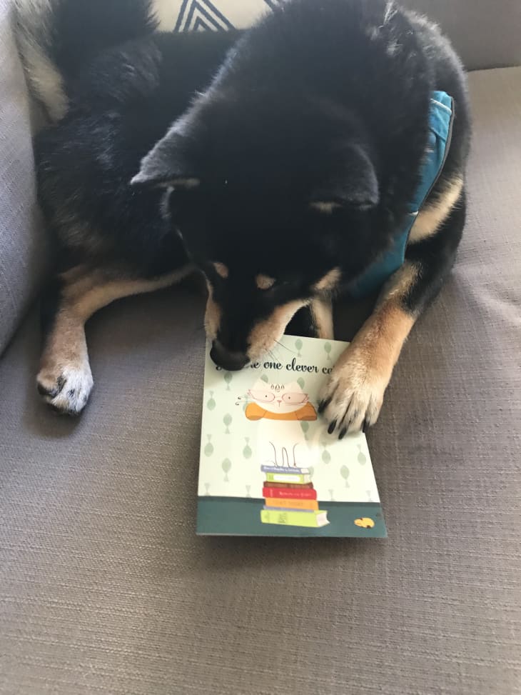 Trader Joe's Greeting Cards are Stylish and Only 1 Apartment Therapy