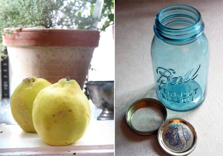 Quince Ratafia: How To Make Fruit Liqueur | The Kitchn