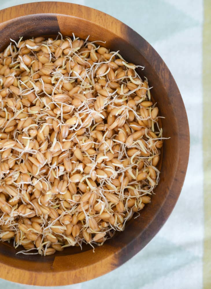 how-to-make-sprouted-grains-kitchn