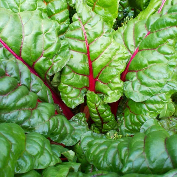 How to Use the Fridge Crisper Drawer 30 Foods for the Humidity Drawer