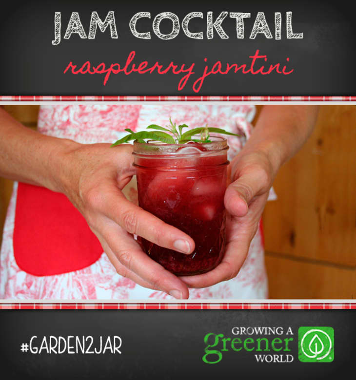 A Jam Cocktail Recipe Lemon Verbena & Raspberry Jamtini The Kitchn