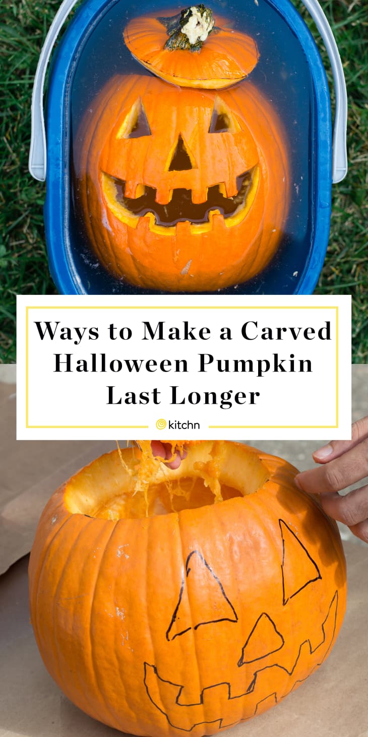 how long does a carved pumpkin last in florida