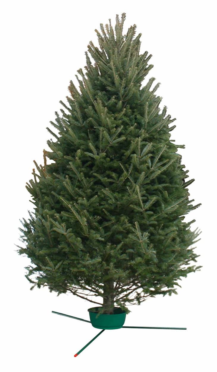 Amazon Christmas Tree Order Review The Kitchn