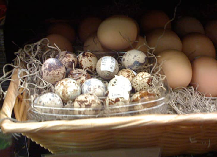 Look! Local Ostrich and Emu Eggs at Whole Foods The Kitchn