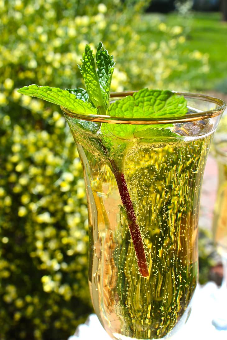 A Toast to Gatsby Champagne Mint Julep Kitchn