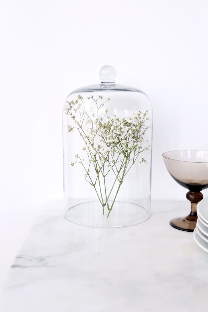 6 Ways to Decorate with Baby’s Breath | The Kitchn