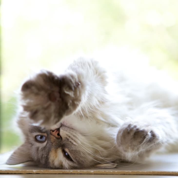 Why Do We Eat More in The Winter? The Kitchn