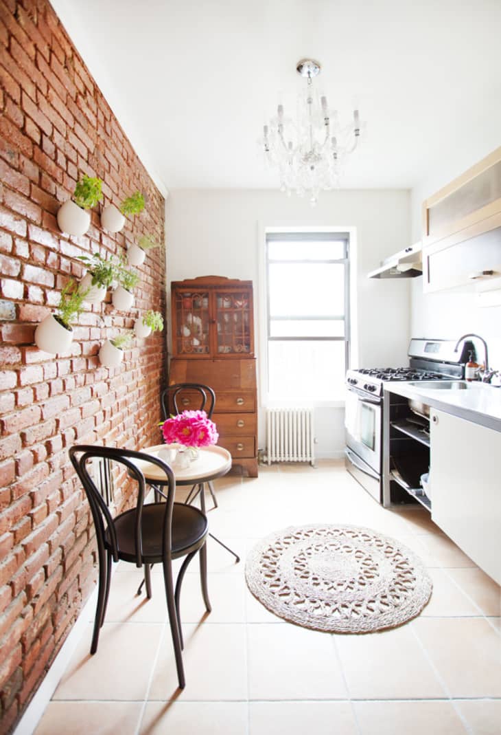 9 Inspiring Ideas for Plants in the Kitchen | The Kitchn
