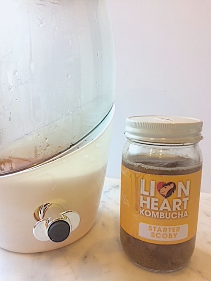 Mortier Pilon Kombucha Brewing Jar Review The Kitchn