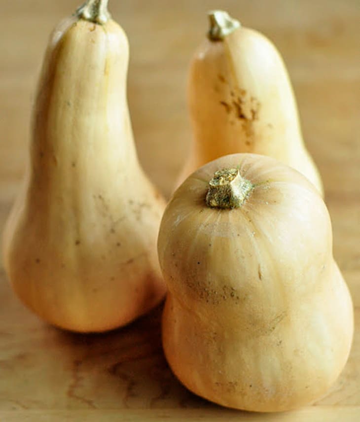 Why I Eat Squash Twice a Week in the Fall and Winter The Kitchn