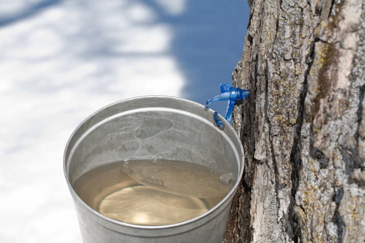 Say Goodbye to Grade B Maple Syrup: Vermont Changes Its Maple Syrup ...