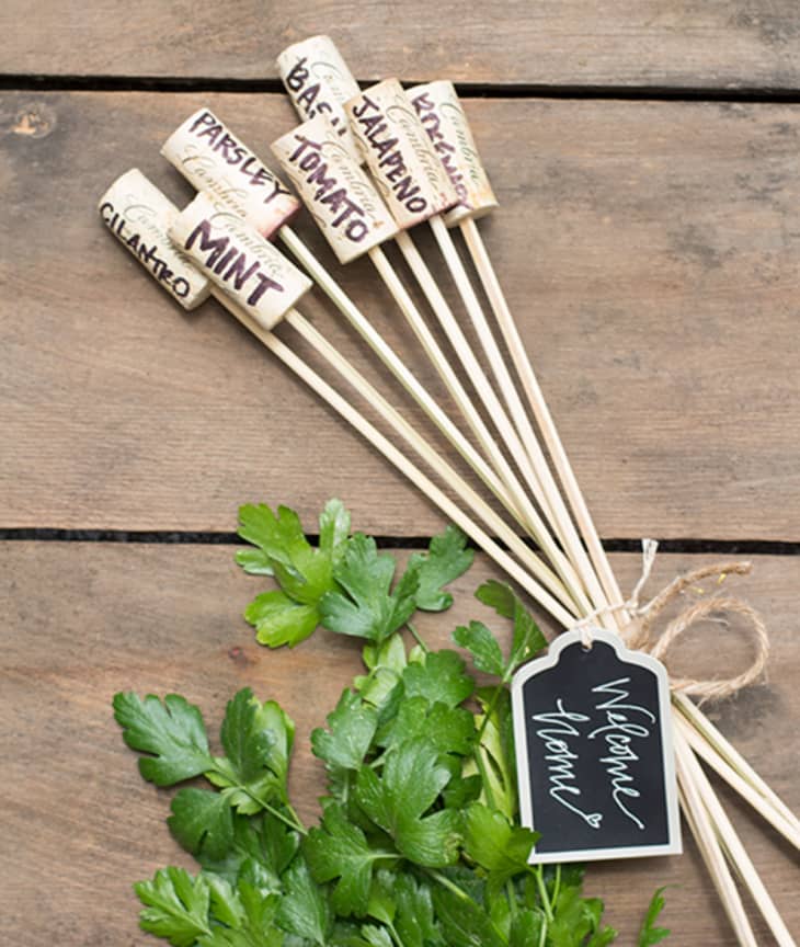 Cute & Easy Garden Markers You Can DIY with Supplies You Already Have ...