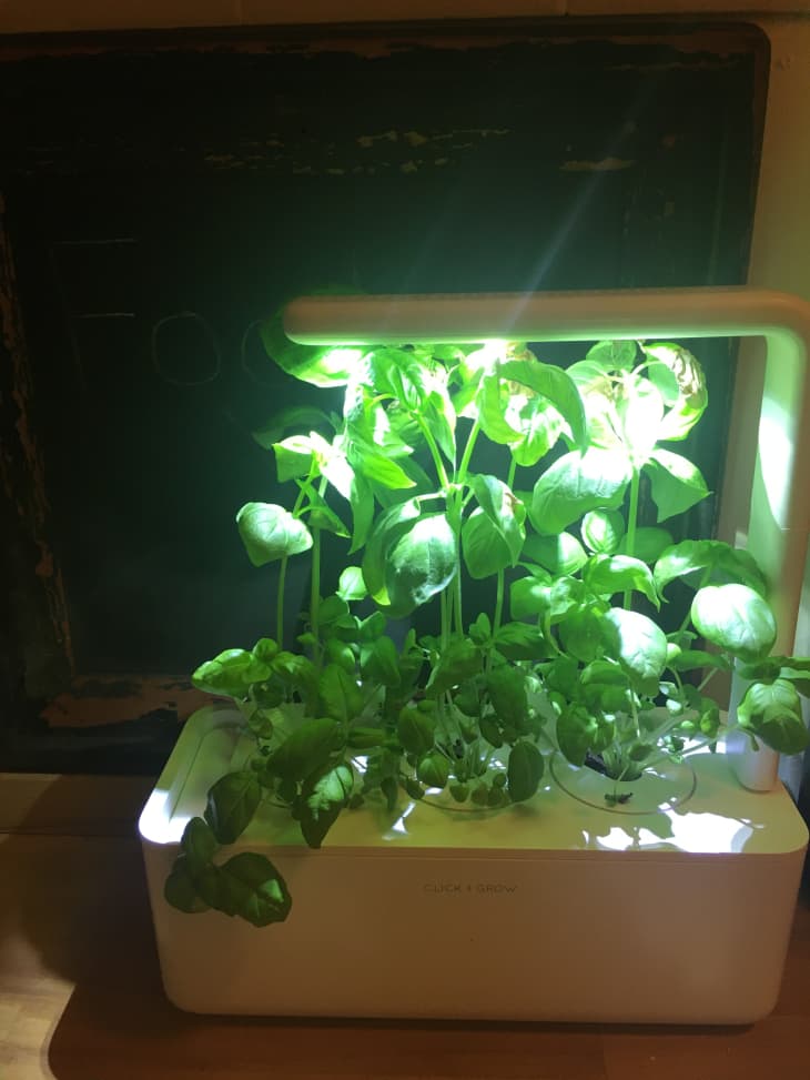 Does the Click and Grow Garden System Actually Work The Kitchn