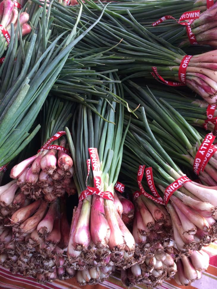 What Is Green Garlic? How to Buy & Use Green Garlic The Kitchn