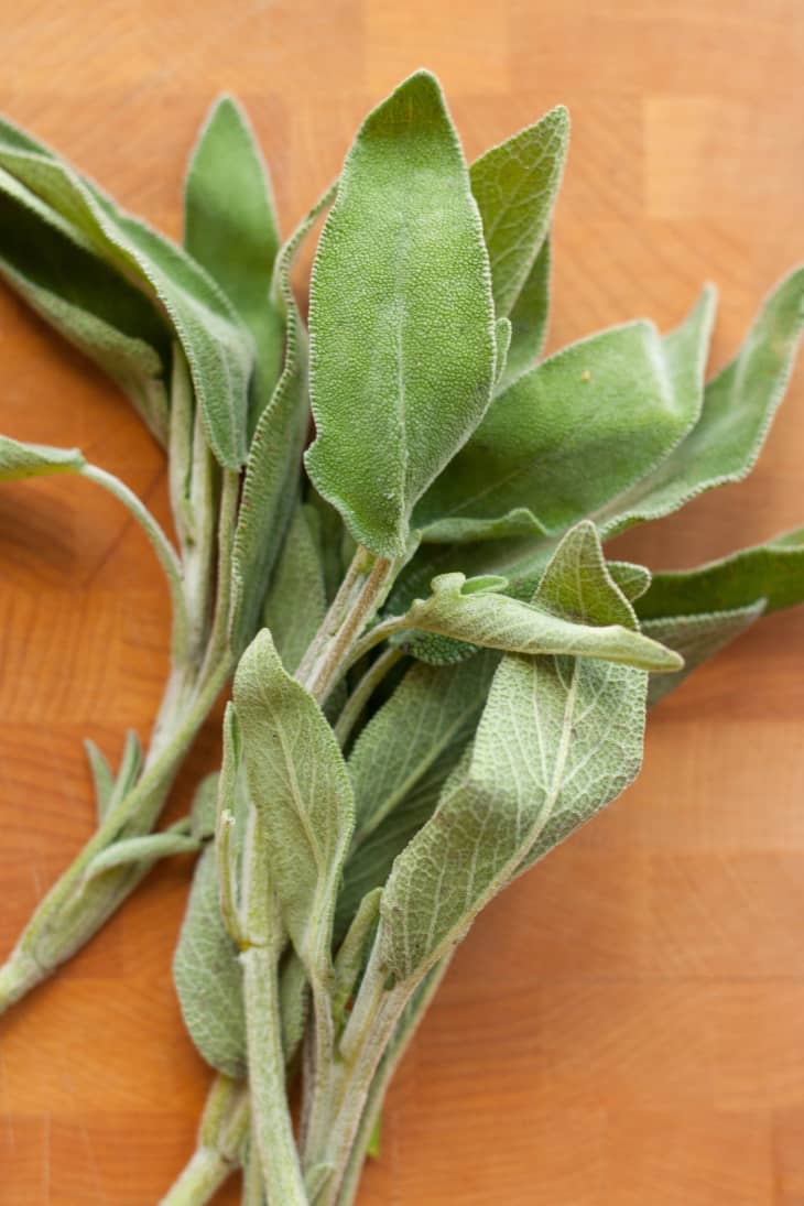 The 4 Fresh Herbs That Make Thanksgiving Taste Like It Should | The Kitchn