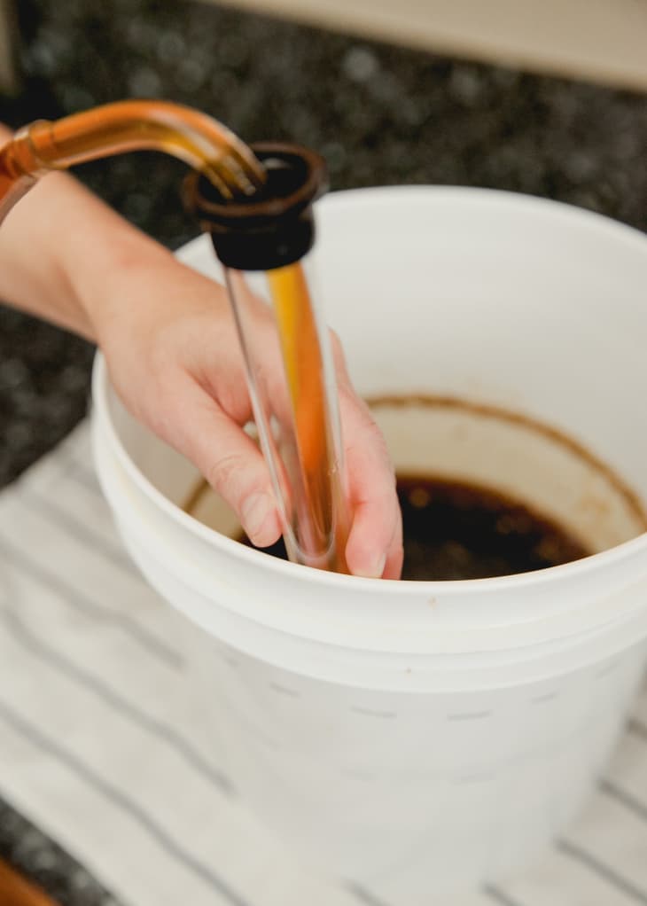 How to Transfer and Siphon Beer The Kitchn