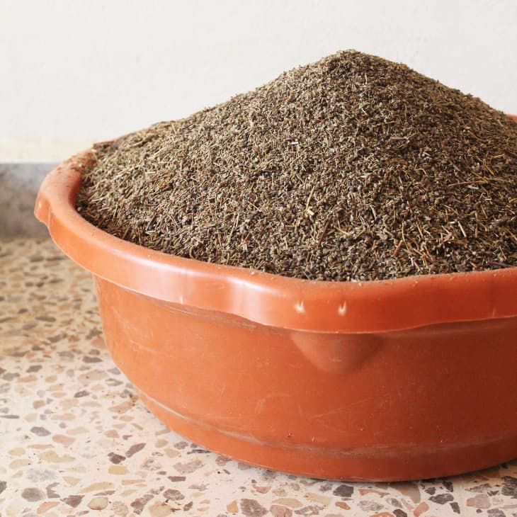 Taming the Wild Thyme A Visit to a Za’atar Farm in Lebanon The Kitchn