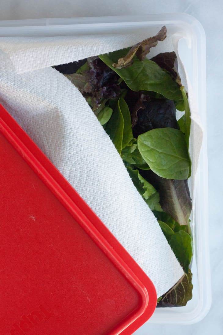 The Best Way to Keep Salad Greens Fresh The Kitchn