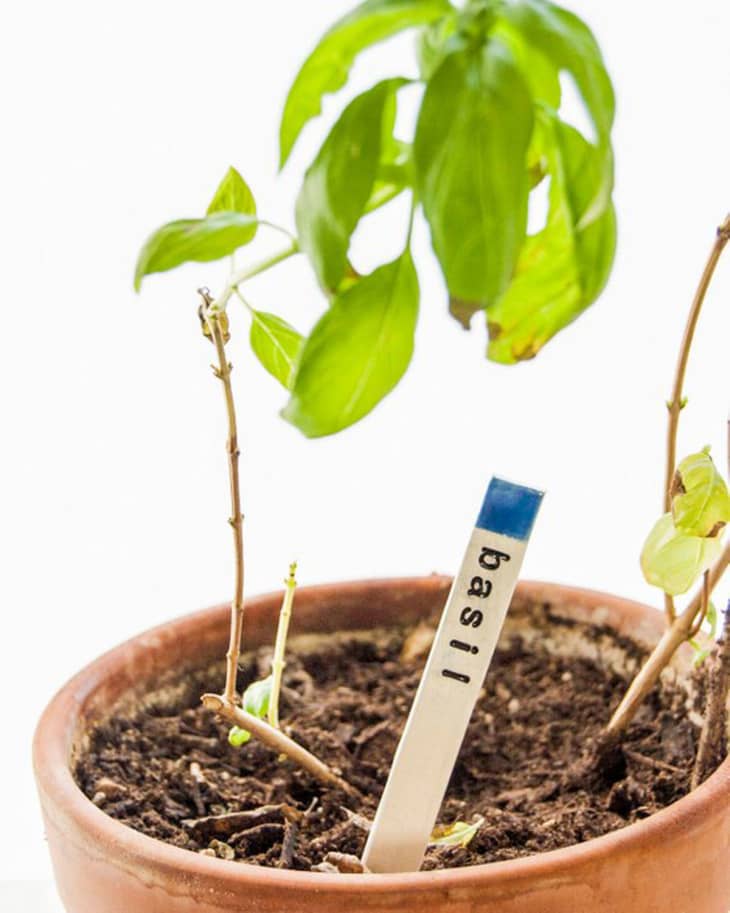 10 Gift Ideas For Plant Lovers Under 20 The Kitchn