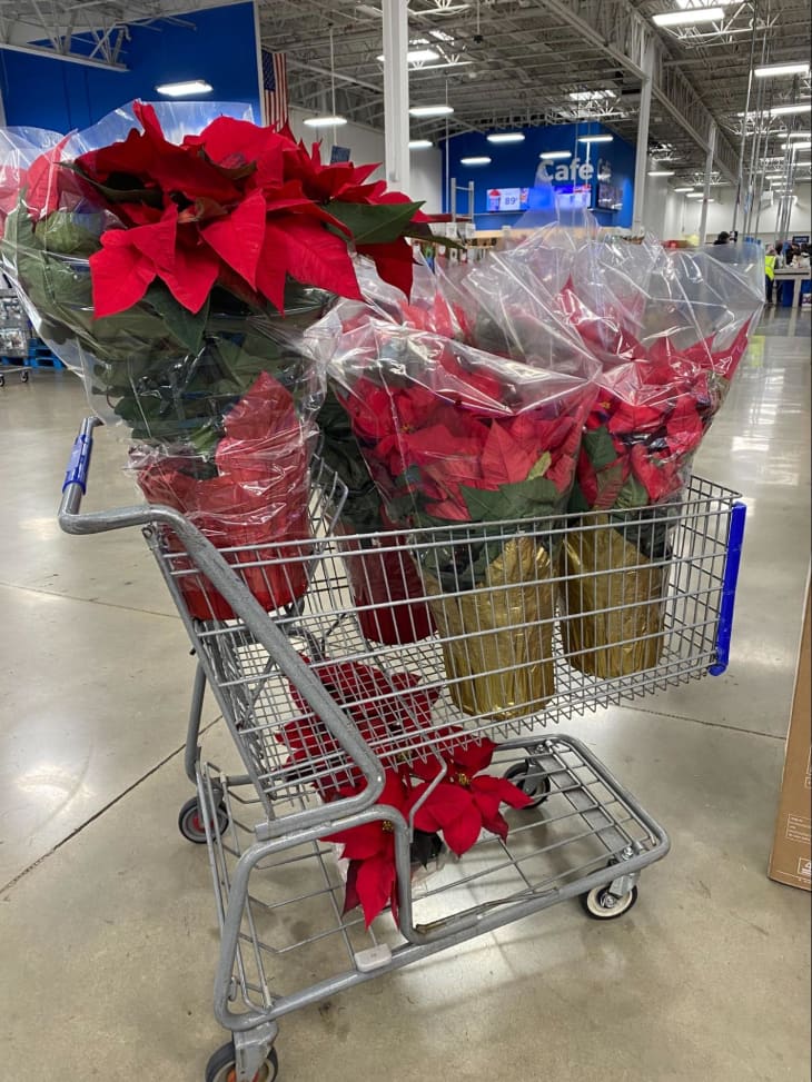 Why My Mom Will Never Cancel Her Sam’s Club Membership The Kitchn