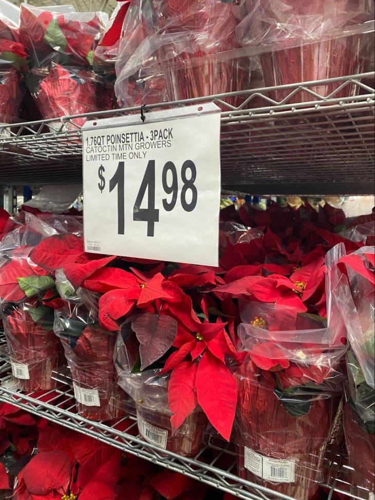 Why My Mom Will Never Cancel Her Sam’s Club Membership The Kitchn