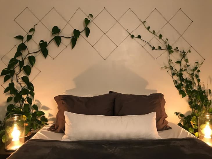 a brown and white bed sits below greenery that climbs up the wall on a handmade vine