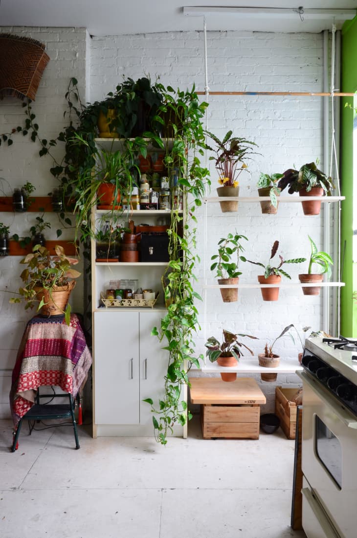 I want a type of like 3-sided glass pane thing to put my plants behind for  the corner of my room on a corner-table. I have NO IDEA at all what to