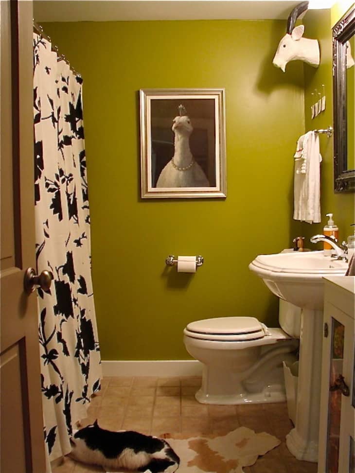 The Best Olive Green Paint Colors