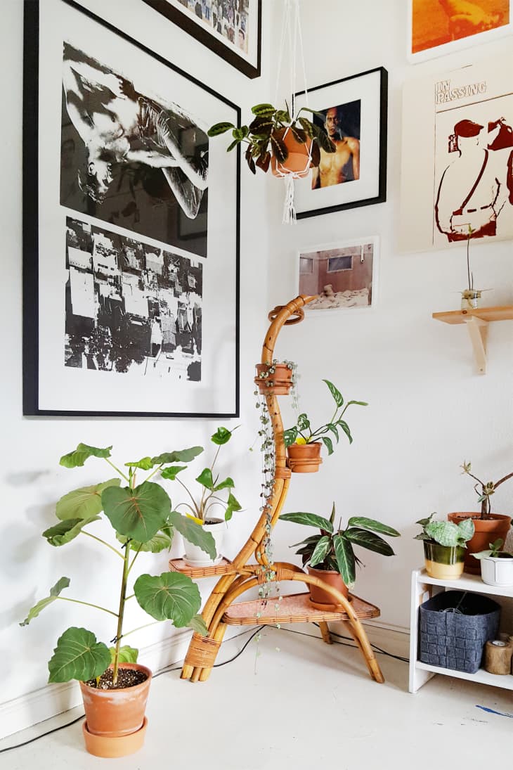 House Tour: A Bold Berlin Apartment | Apartment Therapy